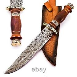 2 Pcs Of Lot Custom Hand Damascus Steel Hunting Knife With Wood And Brass Handle
