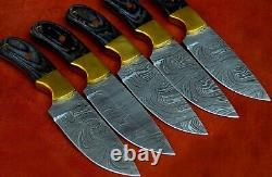50 Pcs Of Lot Handmade Damascus Steel Skinner Knife With Brass & Wood Handle