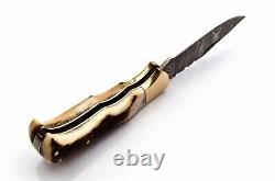 5Pcs Of Lot Handmade Damascus Steel Folding Pocket Knife With Stag &Brass Handle