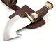 Custom Handmade D2 Steel Dagger Knife with Brass Guard and Stag Horn Handle