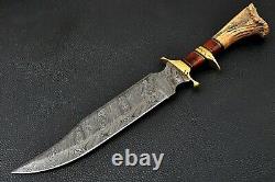 Custom Handmade Damascus Steel Hunting Knife/brass, Wood & Bone Handle Mac0015