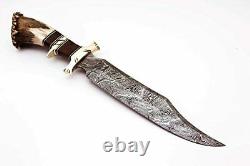 Damascus Steel Hunting Knife Stag Antler Handle with Burl Wood & Brass Guard