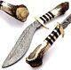 Damascus Steel Hunting Kukri Knife Stag Antler Handle with Bull Horn & Brass