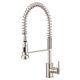 Danze D455058SS Parma Single Handle Pull-Down Kitchen Faucet Stainless Steel