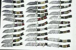 Handmade 6 Damascus Knives with Stag Horn Handle (Lot of 50) Free Sheaths