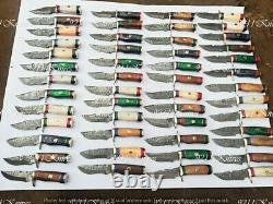 Handmade 6 Damascus Steel Wood End Bone&Colour Wood, Brass Guard Handle Knives
