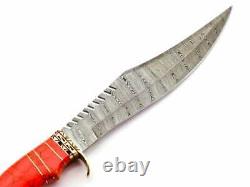 Handmade Damascus Steel Hunting Bowie Knife with Red Jasper stone& Brass handle