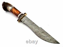 Handmade Damascus Steel Hunting Bowie Knife with Stag, Wood & Brass Handle