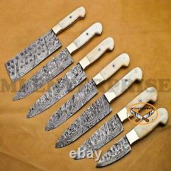 Handmade Damascus Steel Hunting Chef Set Knives Bone Brass Handle (AN256)