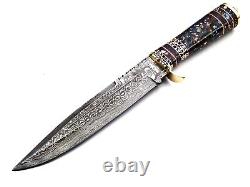 Handmade Damascus Steel Hunting Knife with Acrylic Sheet & Brass Handle