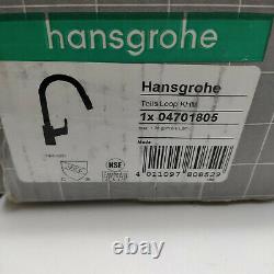 Hansgrohe 04701805 Talis Loop 1-Handle Tall Kitchen Faucet in Stainless Steel