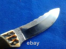 LCO Custom Knife Stag, Brass & Wood Handle Fixed Blade Knife & Leather Sheath