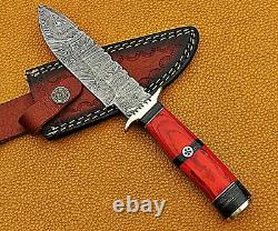 Lot of 10 Pcs Handmade Damascus Steel Bowie Hunting Knife Wood Brass Handle