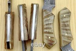 Lot of 5 Custom Made Damascus Steel 7 Skinner Hunting knives Ram Horn Handles