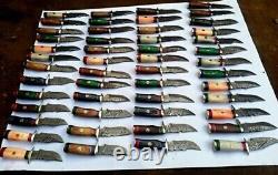 Lot of 50, Handmade 6 Damascus Steel Knives, Wood Handle with Brass Guard