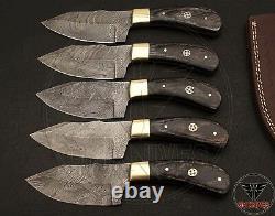 Lot of 5Custom Handmade Damascus steel Skinner Knife Dollar Sheet handle
