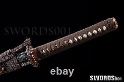 Rayskin Saya Clay Tempered Japanese Samurai Katana Warrior Sword Brass Fittings