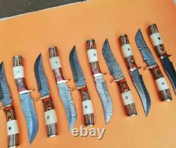 Set of 10, 10 DAMASCUS Steel Knife, Sheep Horn Handle with Brass Guard BestGift