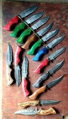 Set of 20 Handmade 10 Damascus Steel Knife, Wood Handle, free Leather Sheath