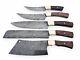 Set of 5 Pcs Beautiful Custom Handmade Damascus Blade Chef Knives Wood Handle